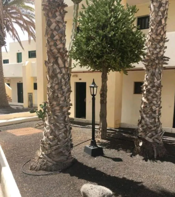 Apartamento Suri Costa Teguise España